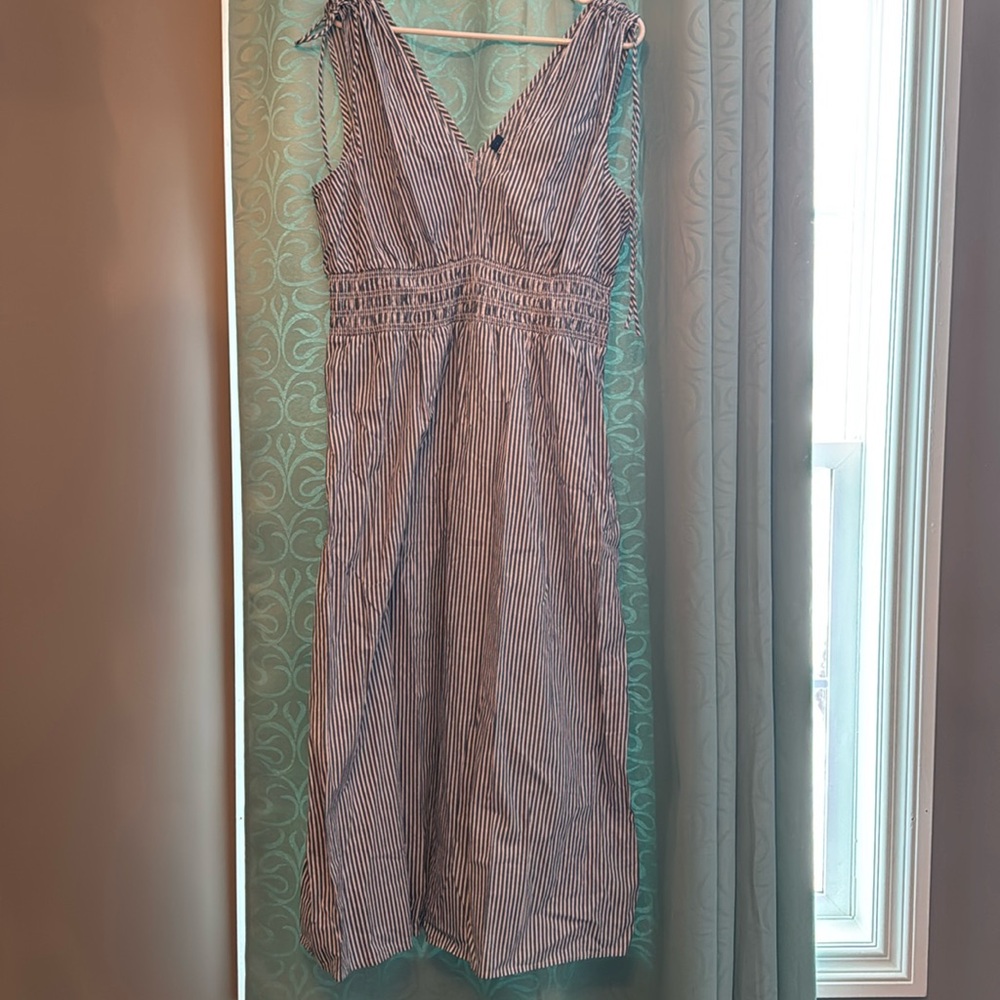 Blue stripe smocked waited dress